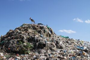 Using Technology to Solve Waste Management Problems in Kenya